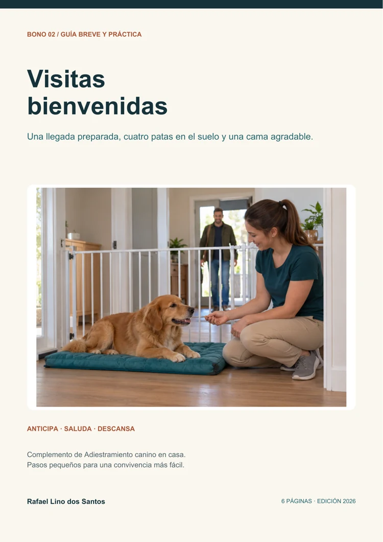 Portada del bono Visitas bienvenidas