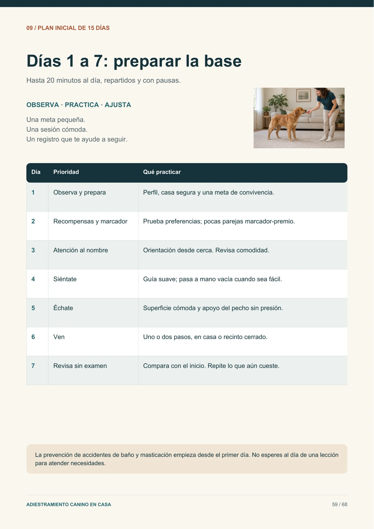 Muestra del plan de práctica para los primeros siete días