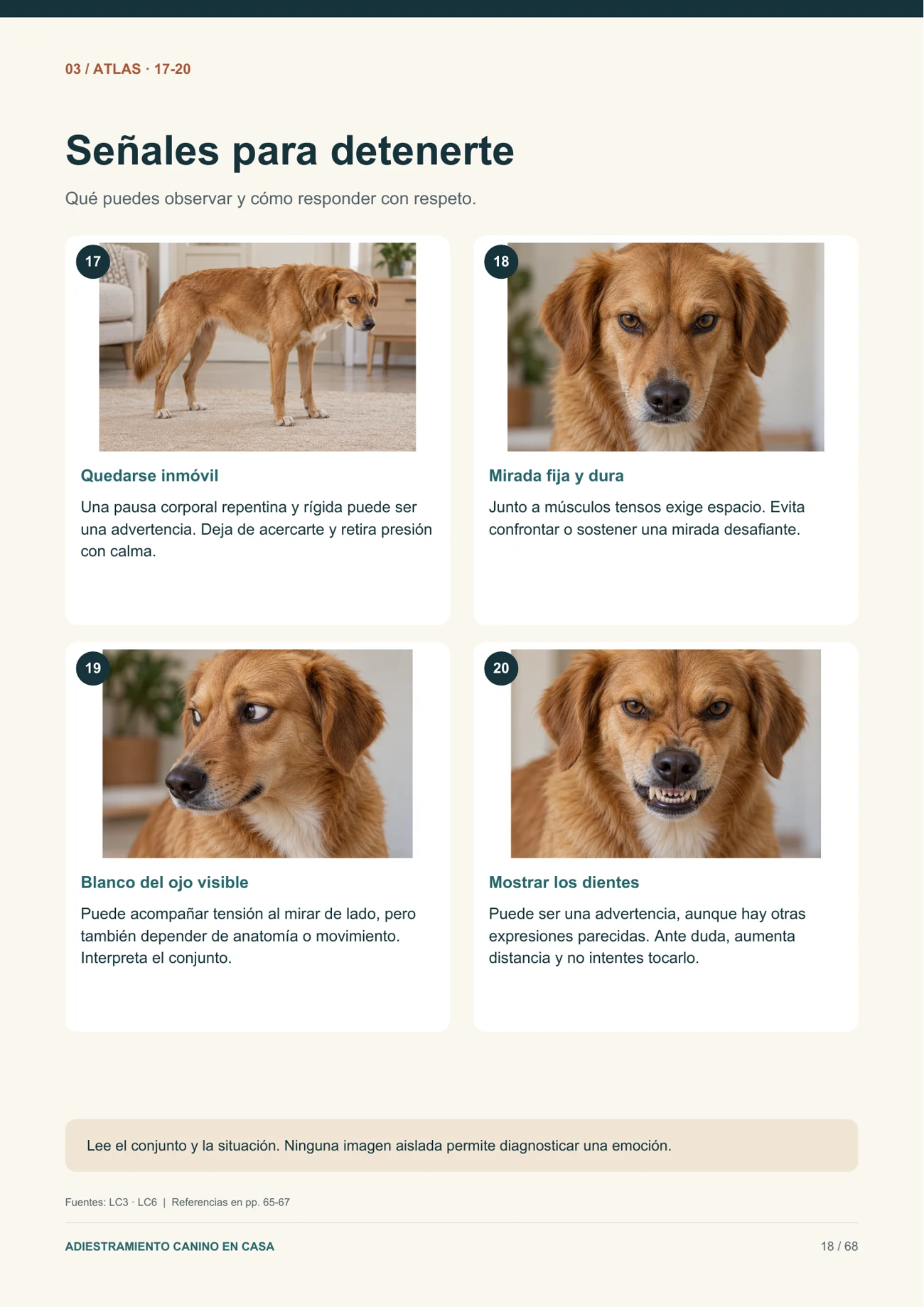 Muestra de la guía visual de lenguaje corporal canino